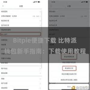 Bitpie便捷下载 比特派钱包新手指南：下载使用教程