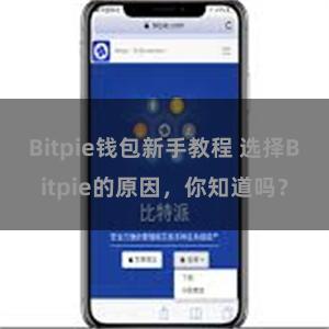 Bitpie钱包新手教程 选择Bitpie的原因，你知道吗？