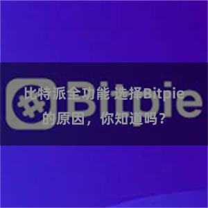 比特派全功能 选择Bitpie的原因，你知道吗？