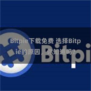 Bitpie下载免费 选择Bitpie的原因，你知道吗？