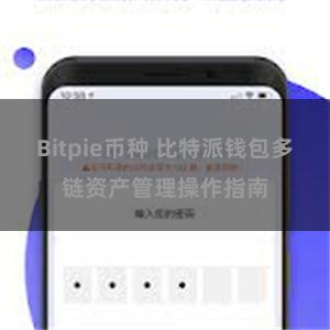 Bitpie币种 比特派钱包多链资产管理操作指南