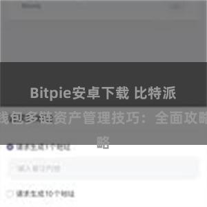 Bitpie安卓下载 比特派钱包多链资产管理技巧：全面攻略