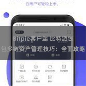 Bitpie客户端 比特派钱包多链资产管理技巧：全面攻略