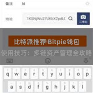 比特派推荐 Bitpie钱包使用技巧：多链资产管理全攻略