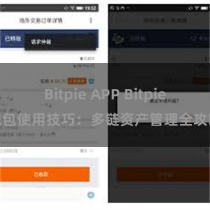 Bitpie APP Bitpie钱包使用技巧：多链资产管理全攻略