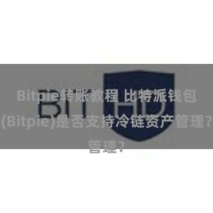 Bitpie转账教程 比特派钱包(Bitpie)是否支持冷链资产管理？