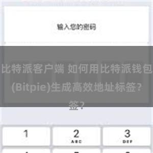 比特派客户端 如何用比特派钱包(Bitpie)生成高效地址标签？