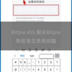 Bitpie iOS 解决Bitpie钱包常见使用问题