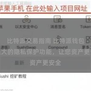 比特派交易指南 比特派钱包：强大的隐私保护功能，让您资产更安全
