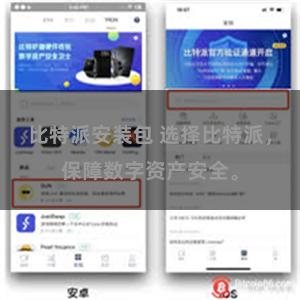 比特派安装包 选择比特派，保障数字资产安全。