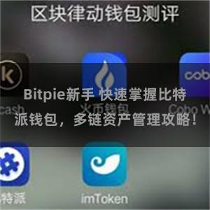 Bitpie新手 快速掌握比特派钱包，多链资产管理攻略！