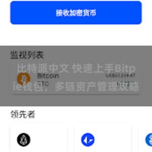 比特派中文 快速上手Bitpie钱包，多链资产管理攻略