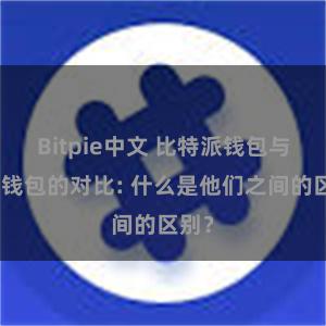Bitpie中文 比特派钱包与其他钱包的对比: 什么是他们之间的区别？