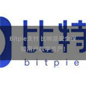 Bitpie支付 比特派安全保障用户数字资产！