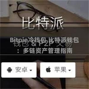 Bitpie冷钱包 比特派钱包：多链资产管理指南