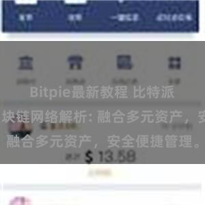 Bitpie最新教程 比特派钱包支持的区块链网络解析: 融合多元资产，安全便捷管理。