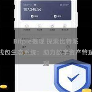 Bitpie提现 探索比特派钱包生态系统：助力数字资产管理