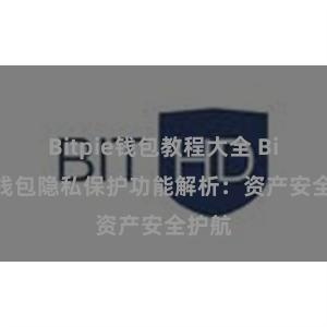 Bitpie钱包教程大全 Bitpie钱包隐私保护功能解析：资产安全护航