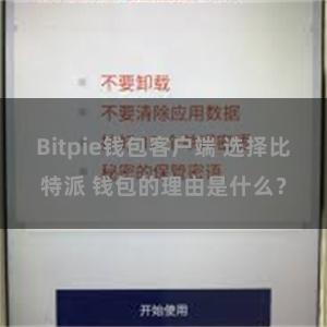 Bitpie钱包客户端 选择比特派 钱包的理由是什么？