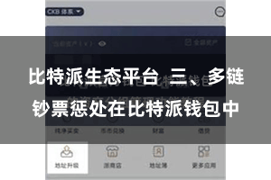 比特派生态平台  三、多链钞票惩处在比特派钱包中