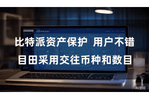 比特派资产保护  用户不错目田采用交往币种和数目