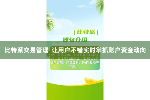 比特派交易管理  让用户不错实时掌抓账户资金动向